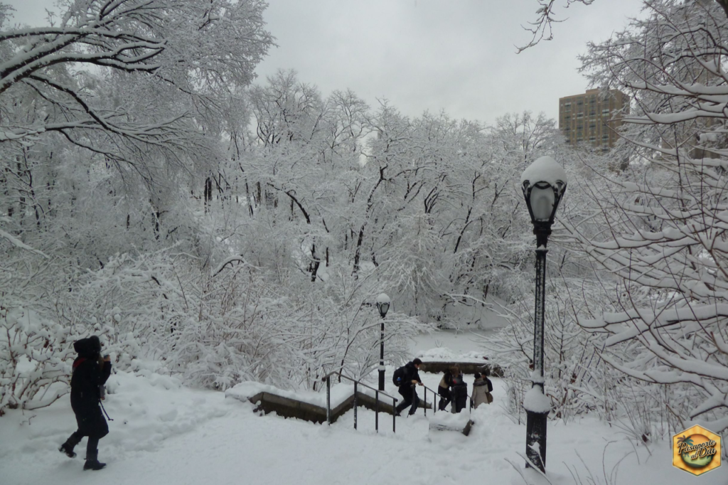 Central Park Nevado - Central Park en invierno - Nueva York - USA