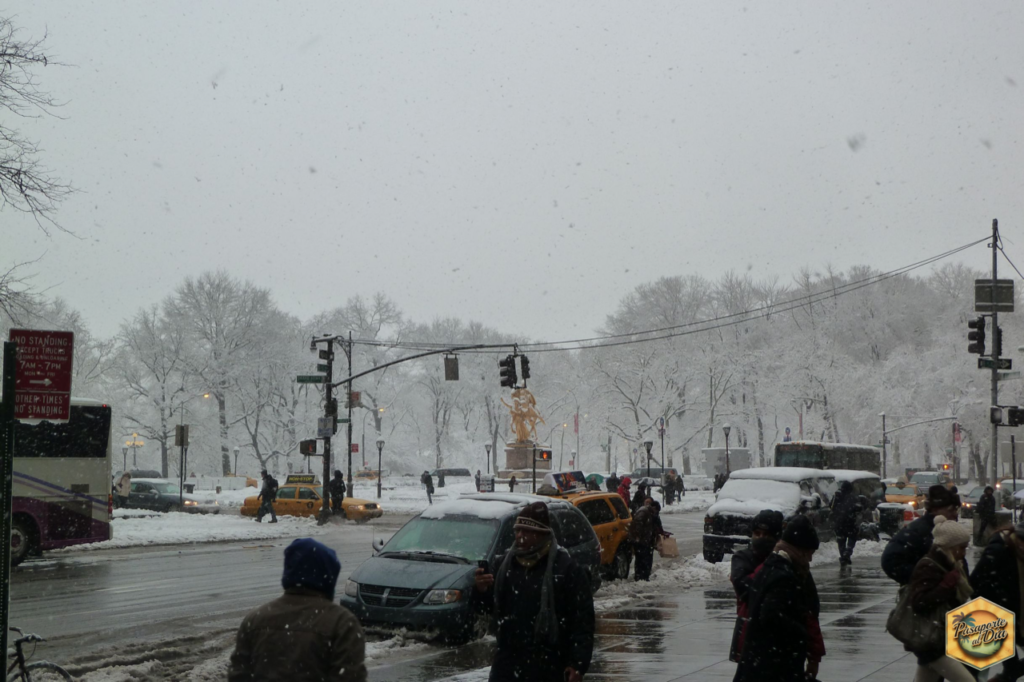 Nieve - Central Park en invierno - Nueva York - USA